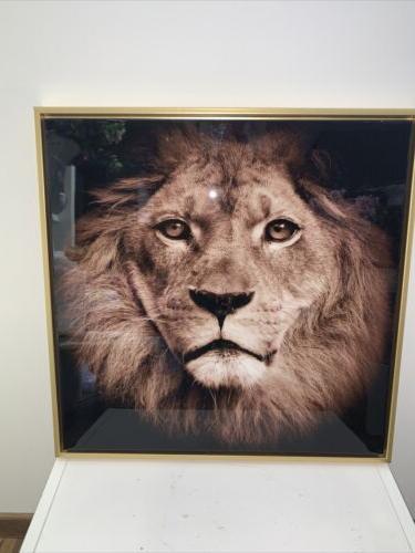 quadro leone da parete lion picture nuovo