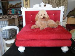 Letto Shabby Swarovski